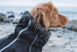 En hund iført en Hurtta Downpour-dragt med justerbar benlængde og kigger på havet.