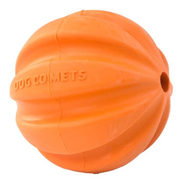 Dog comets / hale-bopp