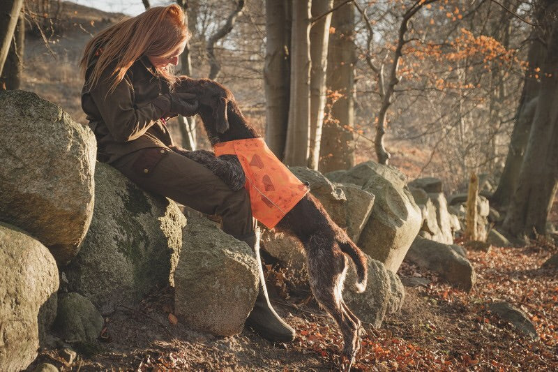 En kvinde klædt i en Hurtta ranger-vest klapper kærligt sin hund i skoven, nyder de vejbestedige omgivelser og øget synlighed.