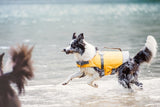 To hunde svømmer i vandet iført Hurtta-redningsveste.