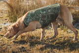En hund på en mark iført en Hurtta svømmevest til termisk isolering.