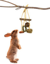 JR Farm træ spiseligt legetøj med lækkerier, aktivitet til din gnaver står på en gren og observerer en foderautomat.