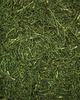 Gnaversnacks fra JR farm tørret persille