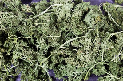 En righoldig udstilling af levende grønne Gnaversnacks fra JR farm tørret persillesalat blade, serveret som supplement på et bord.