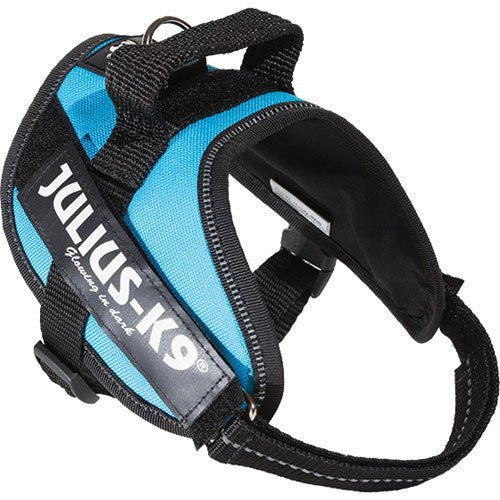 Hundesele - Hundesele, Julius K9 IDC sele, Aquamarine - Hvor kæledyr ville handle - Foderboxen.dk