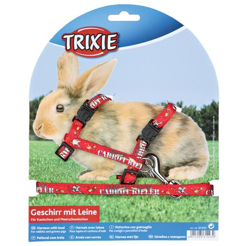 En pakke indeholdende en kanin iført sele og snor lavet af nylon Trixie Kaninseletøj til kaniner. Fedt design med Line.
