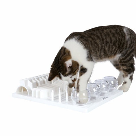 En kat leger med et hvidt Eldorado Katte Aktivitets Legeplads Funboard ovenpå, og engagerer sig i en miniaktivitetslegeplads, der både fungerer som en sjov leg og træningsmulighed.