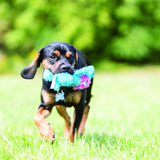 En sort og solbrun hund, der løber med et Kong Cozies Small, solidt nuttede hundebamser-legetøj i munden og nyder en sjov og robust leg.