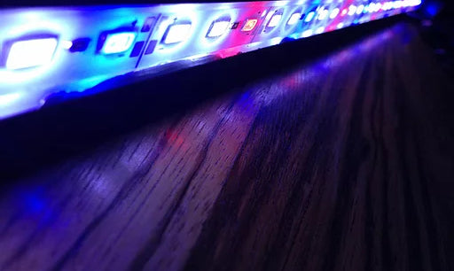En Akvarie LED lys, Aqualight, vandtætte, 26cm lysliste på et træbord, der oplyser omgivelserne med sit smukke kelvin lys.