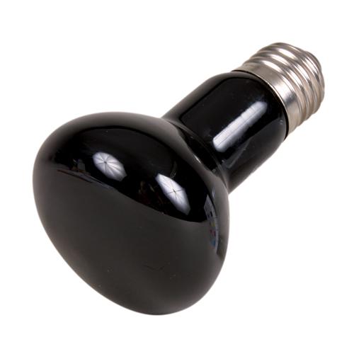En Trixie Moonlight varmelampe 50W, der simulerer nattens cyklus, stimulerer det unge afkom og tillader observation af dyr om natten.