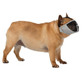 En fransk bulldog iført en Trixie Mundkurv til hunde med kort snudeparti.