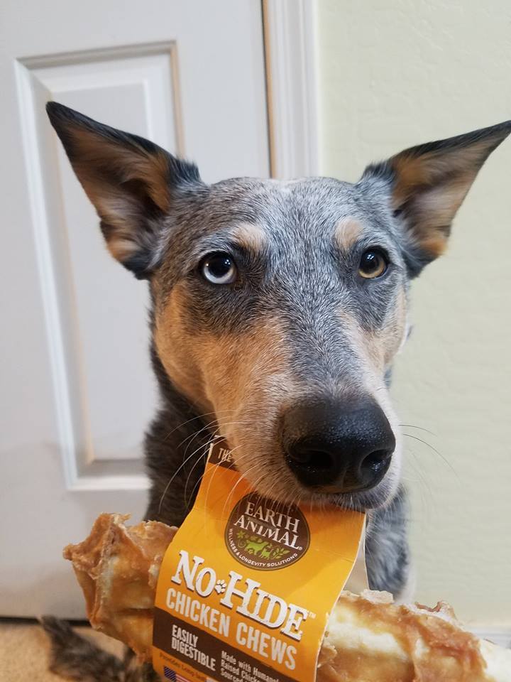 Tyggeben, No-Hide (ikke oksehud) Chicken Chews