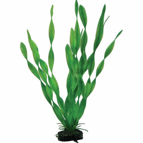 Akvarie Plastplante Vallisneria 34 cm, grøn, pynt til akvarier