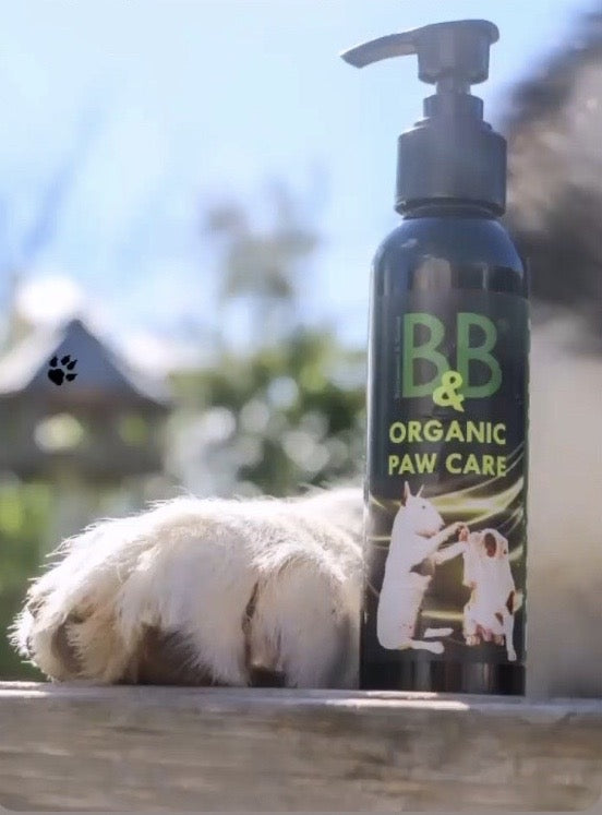 B&b er en virksomhed, der har specialiseret sig i økologisk potepleje til hunde. Vores ydelser fokuserer på B&B Økologisk potepleje 100ml og sikring af deres generelle sundhed og velvære.