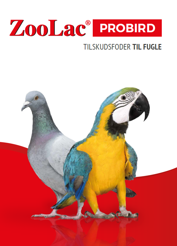 Zoolac ProBird Pulver