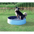 Beskrivelse: En hund hopper ned i et blåt Trixie hunde badebassin.