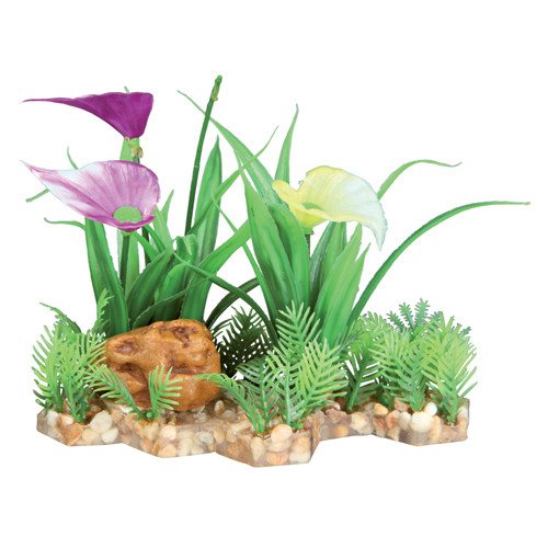 Trixie Plastik Plante / Akvarie calla liljer og naturlige planter i et lille akvarium.