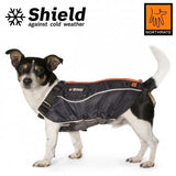 A hund wearing a Shield udendørs frakke for at beskytte mod vejrets elementer.