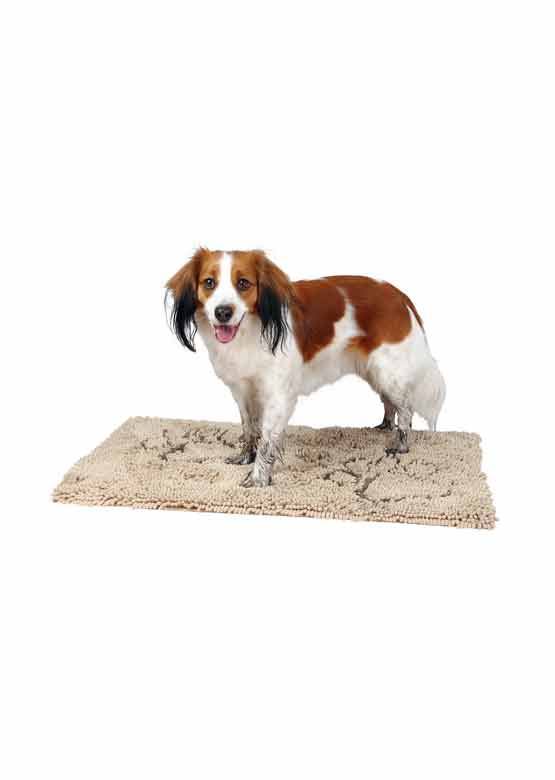 En brun og hvid hund stående på en Trixie Snavs absorberende måtte, beige.