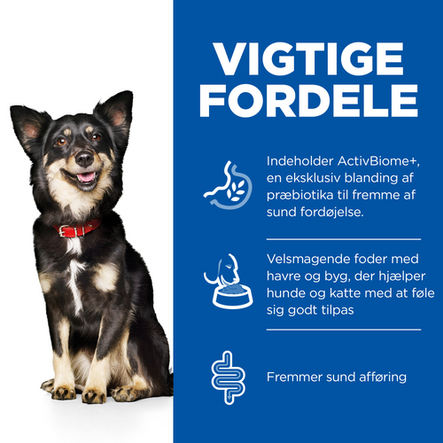 En hund sidder på en hvid baggrund med ordene "6 kg Hills Adult Perfect Digestion Small & Mini with Chicken & Brown Rice" af Hills Science Plan.