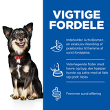 En hund sidder på en hvid baggrund med ordene "6 kg Hills Adult Perfect Digestion Small & Mini with Chicken & Brown Rice" af Hills Science Plan.