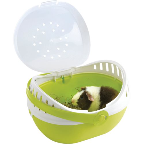 En lille Elmo marsvin i en grøn og hvid osmedkaeledyr.dk transportkasse.