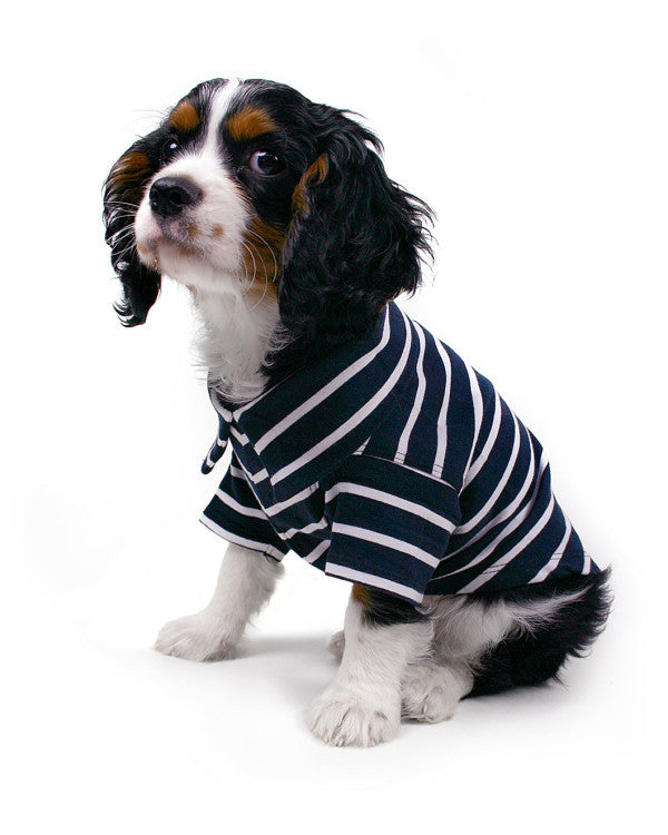 Theo t-shirts til hunde