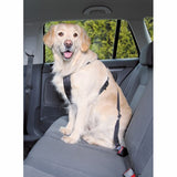 En hund sikret med en Trixie sikkerhedssele til din hund på bagsædet af en bil.