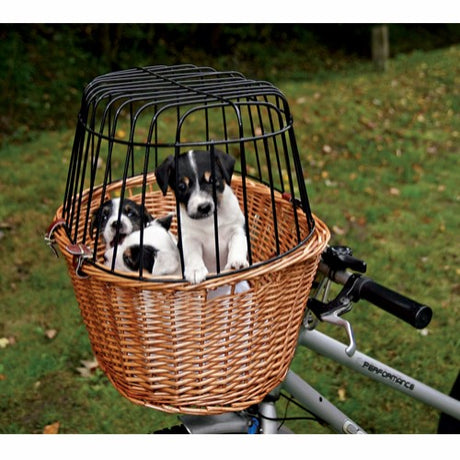 To hunde i en Trixie Cykelkurv til styret, natur flet bag på en cykel.