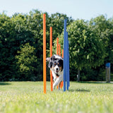 En hund træner på Trixie Agility Stænger til hunde, 115cm (bestillingsvarer), mens den manøvrerer gennem et sæt pæle på en græsmark.