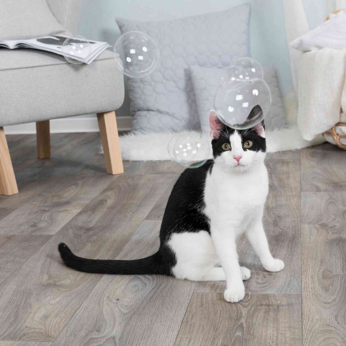 Katte aktivitet, Catnip sæbebobler, 120ml