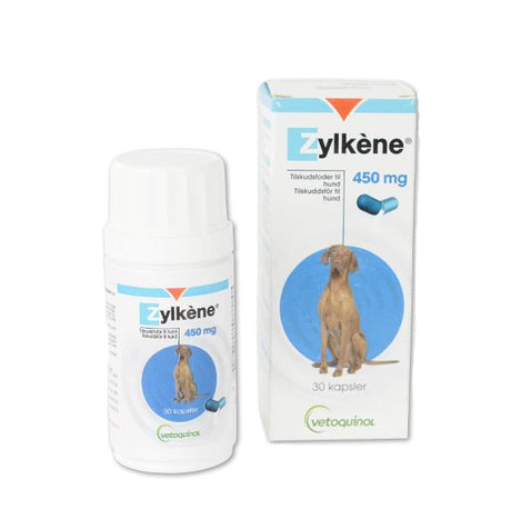 Zylkène, gives ved uro eller nervøsistet (til hund og kat)